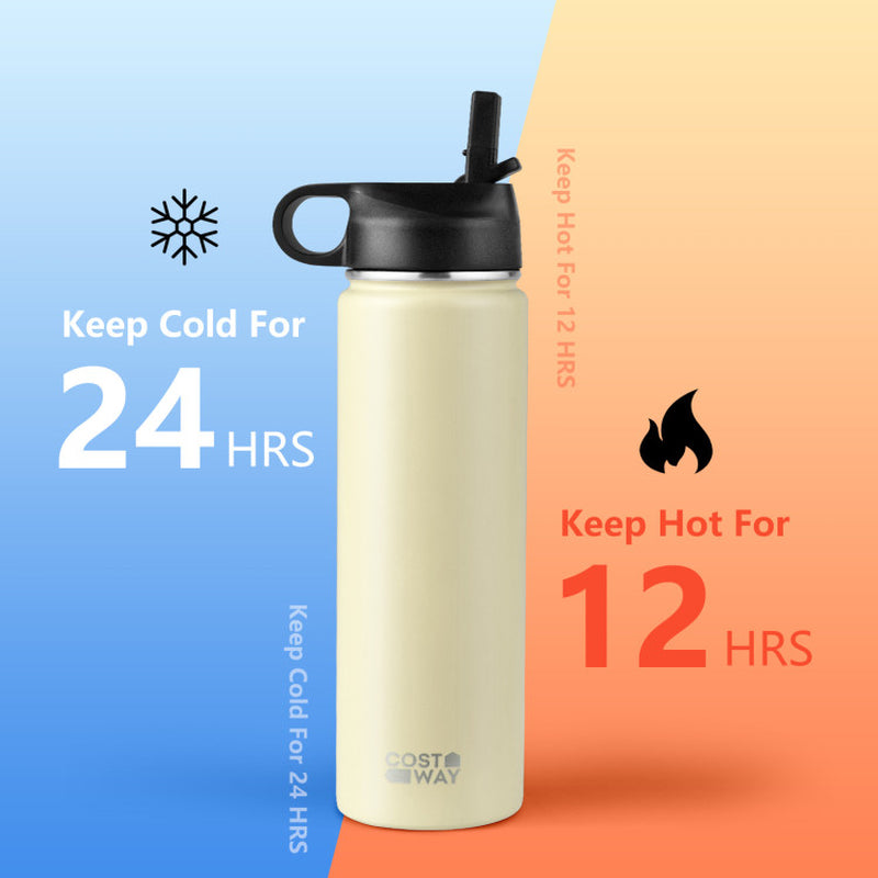 22 Oz Double-Walled Insulated Stainless Steel Water Bottle with Straw Lid