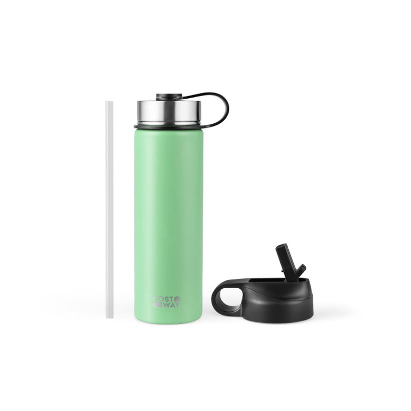 22 Oz Double-Walled Insulated Stainless Steel Water Bottle with Straw Lid