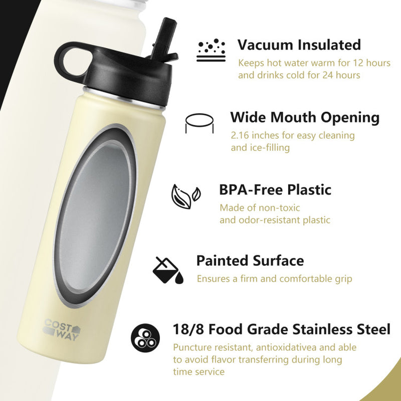 22 Oz Double-Walled Insulated Stainless Steel Water Bottle with Straw Lid