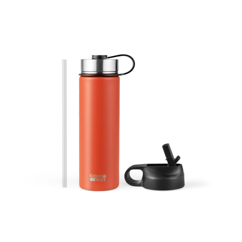 22 Oz Double-Walled Insulated Stainless Steel Water Bottle with Straw Lid