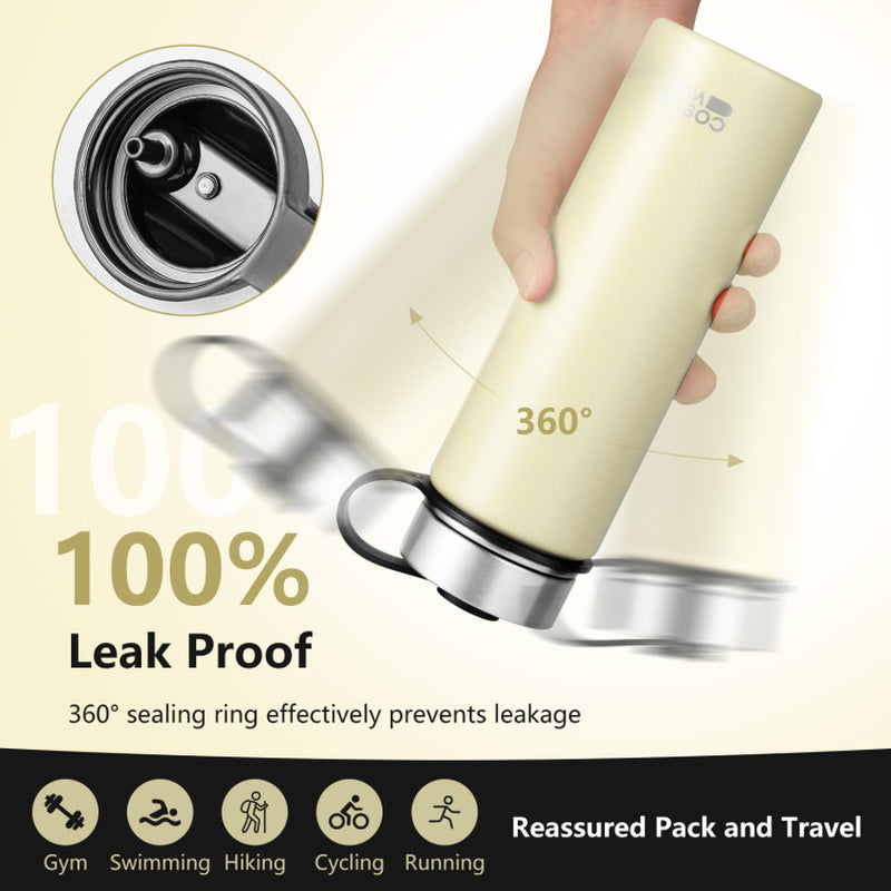 22 Oz Double-Walled Insulated Stainless Steel Water Bottle with Straw Lid