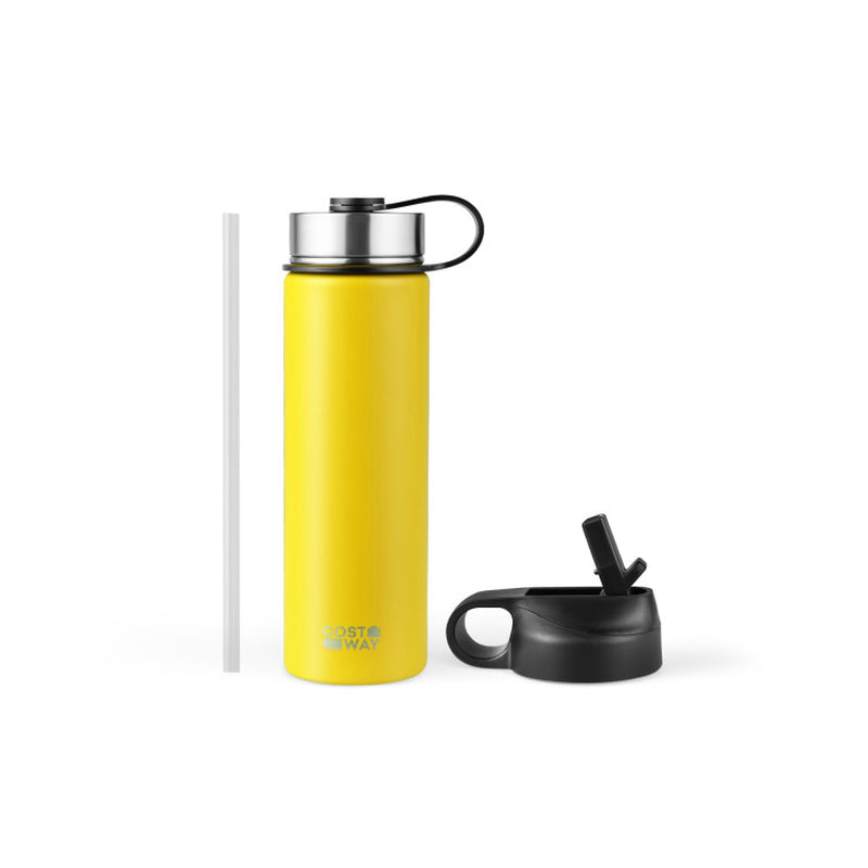 22 Oz Double-Walled Insulated Stainless Steel Water Bottle with Straw Lid