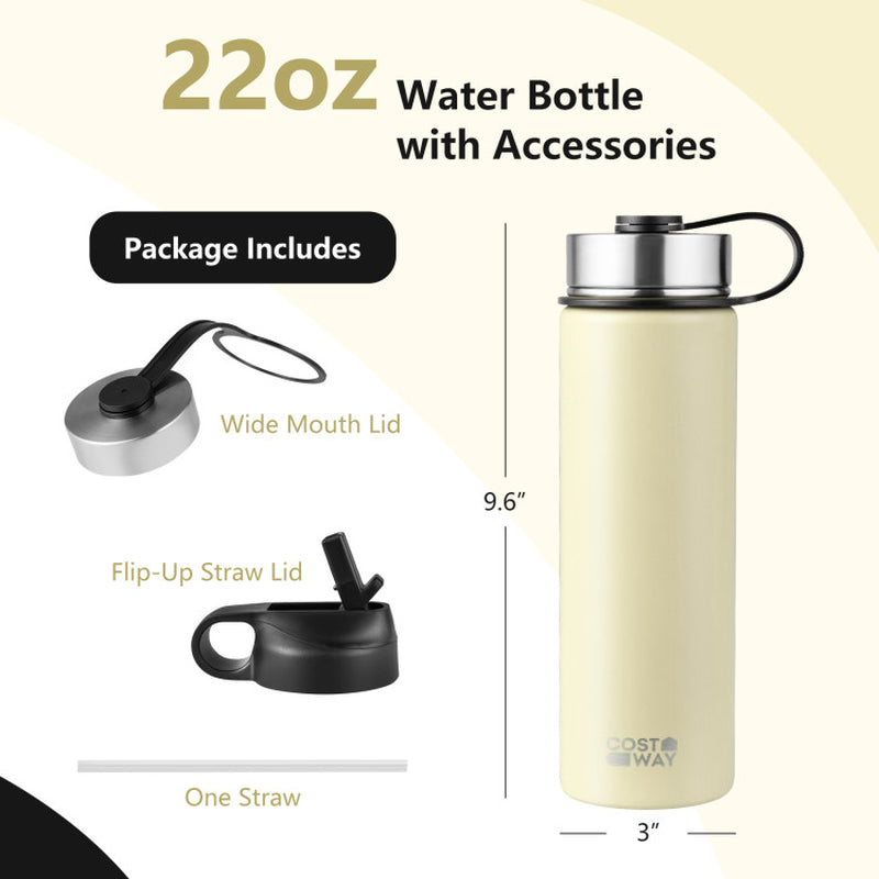 22 Oz Double-Walled Insulated Stainless Steel Water Bottle with Straw Lid